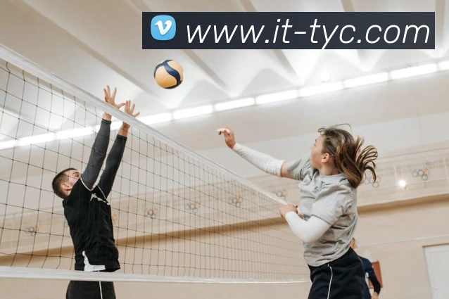 澳门太阳城娱乐平台生态图